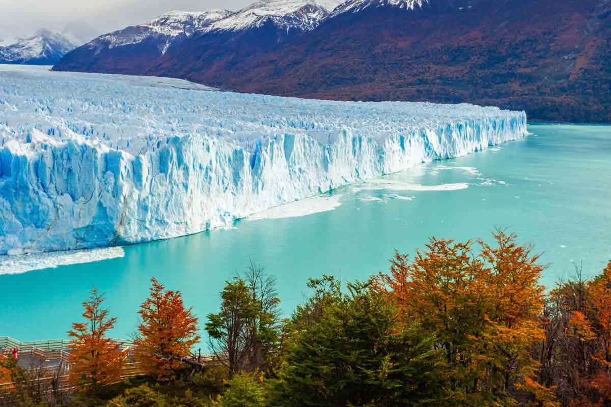 Perito-Moreno-Glacier-panoramique-compressor