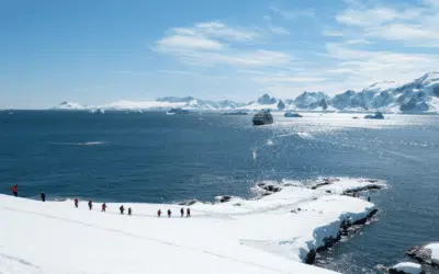 8 bonnes raisons de passer Noël et le Nouvel An en Antarctique
