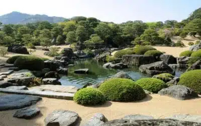 Hide and Reveal – creating mystery in Japanese Gardens