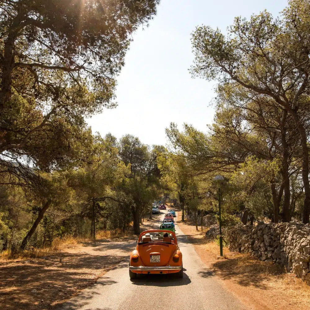 Voiture de collection sur une route de campagne entourées de chênes en Méditerranée