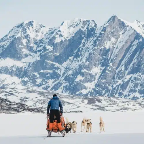 Traineau à chiens sur la banquise devant un paysage de montagnes enneigées