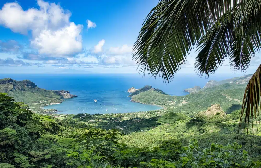 Vue panoramique sur une baie tropicale