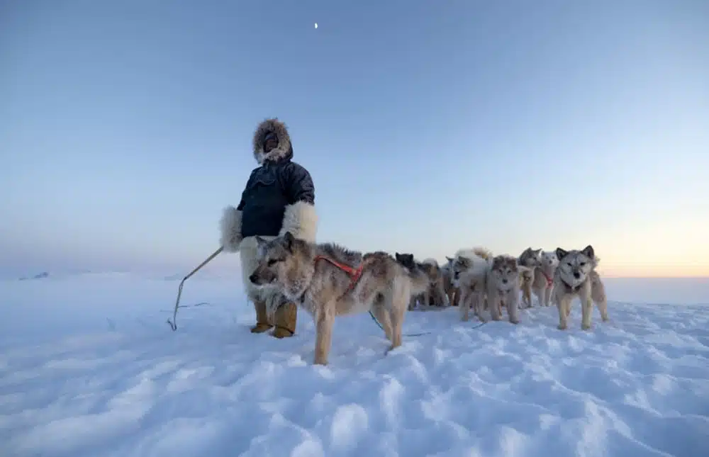 chasseur-inuit-chiens-Kullorsuaq