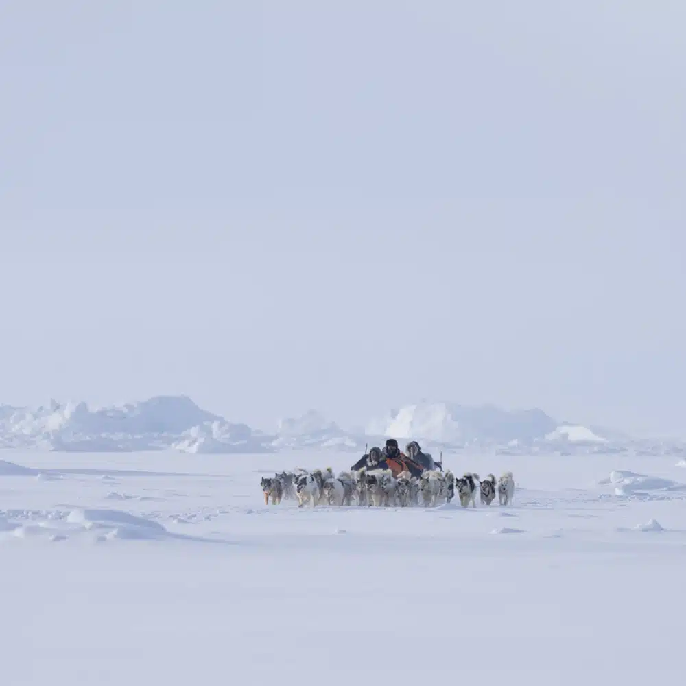  traineau à chiens sur la banquise – Voyage Kullorsuaq – Julien Fabro