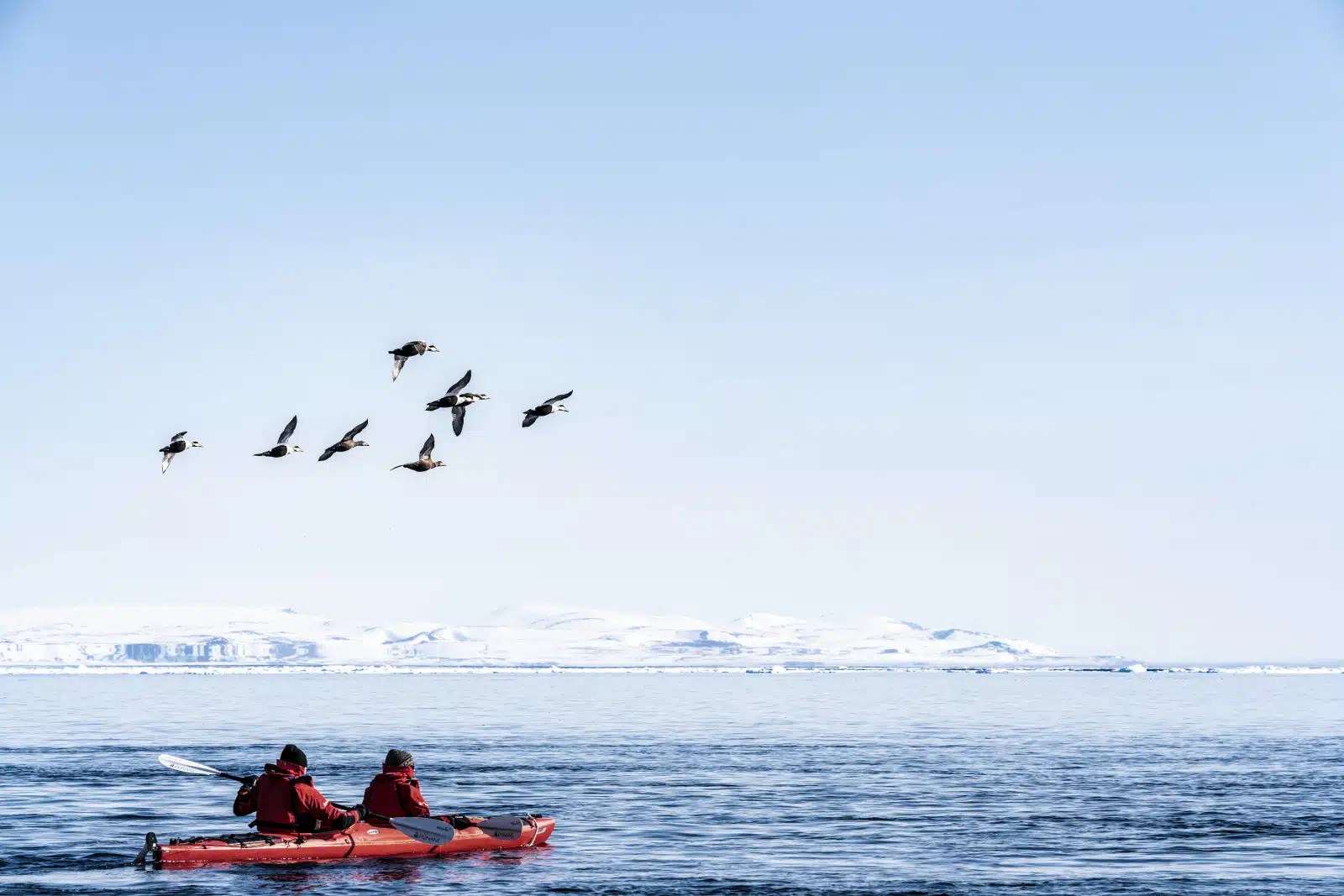 Cruise Critic Names PONANT “Best in the Arctic” for 2023