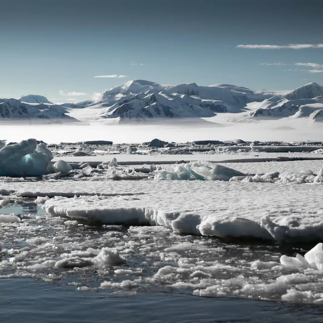 banquise et monts englacés en Antarctique