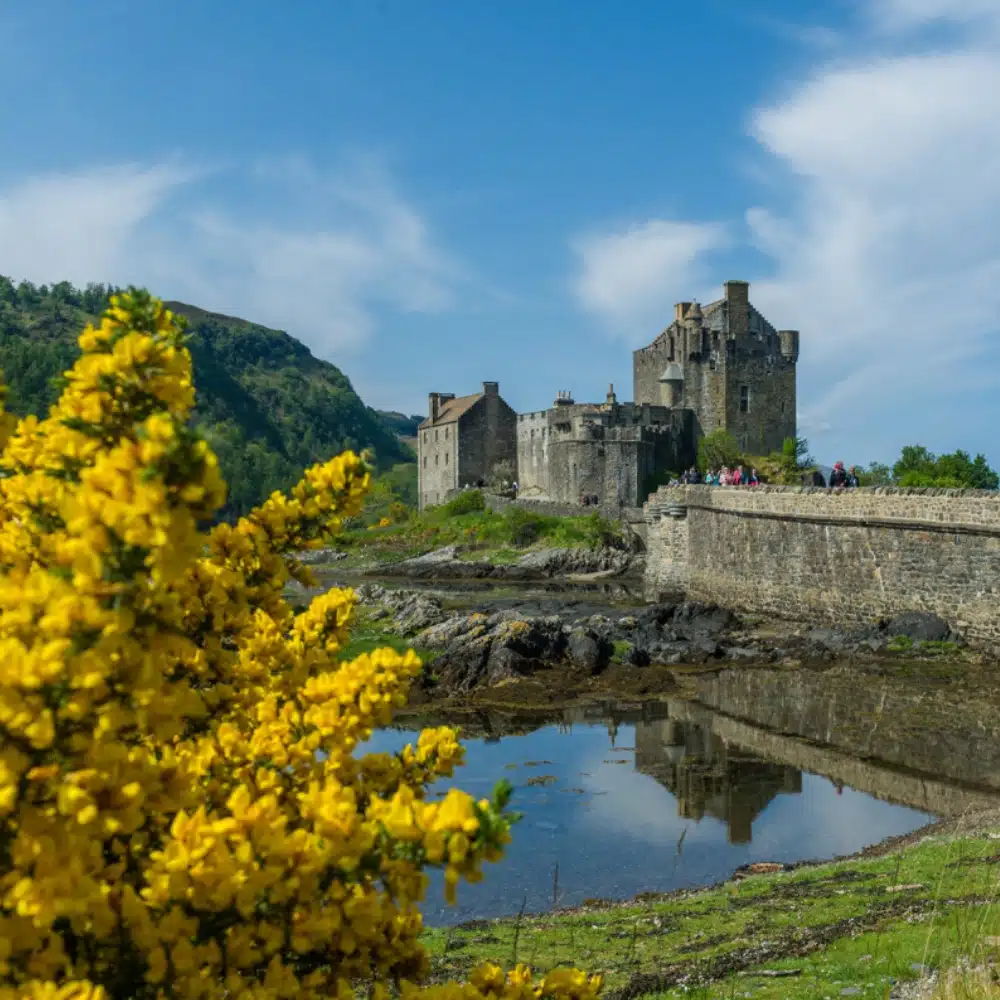 The Legacy of Vikings in the Orkney and Shetland Islands