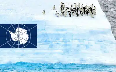 The Antarctica Treaty: A Model for Global Cooperation